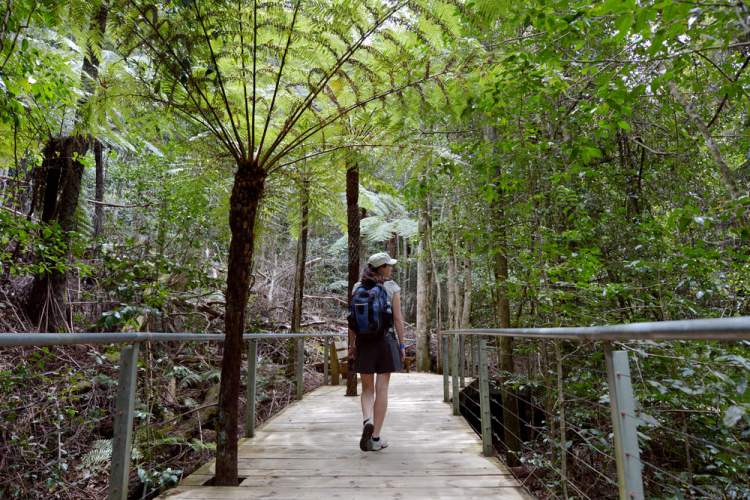 Woman walking in green forest