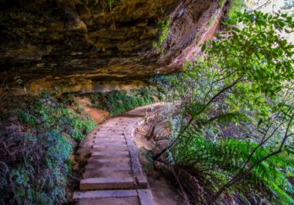 Blue mountains beautiful view