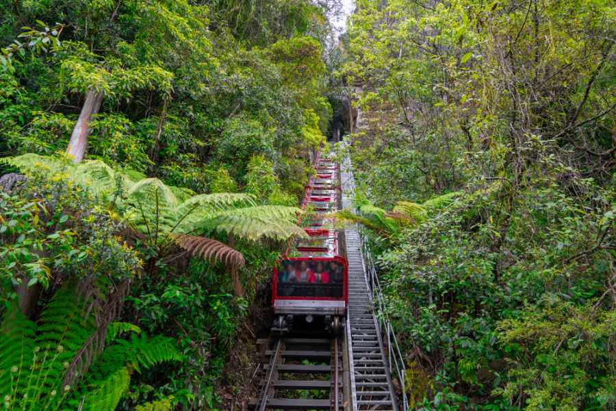 Blue mountains summer beautiful scene