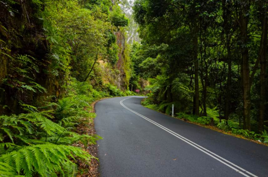 Blue Mountains
