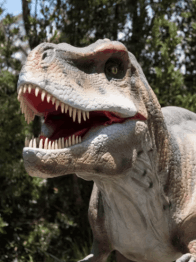 Dinosaur Valley at Scenic World