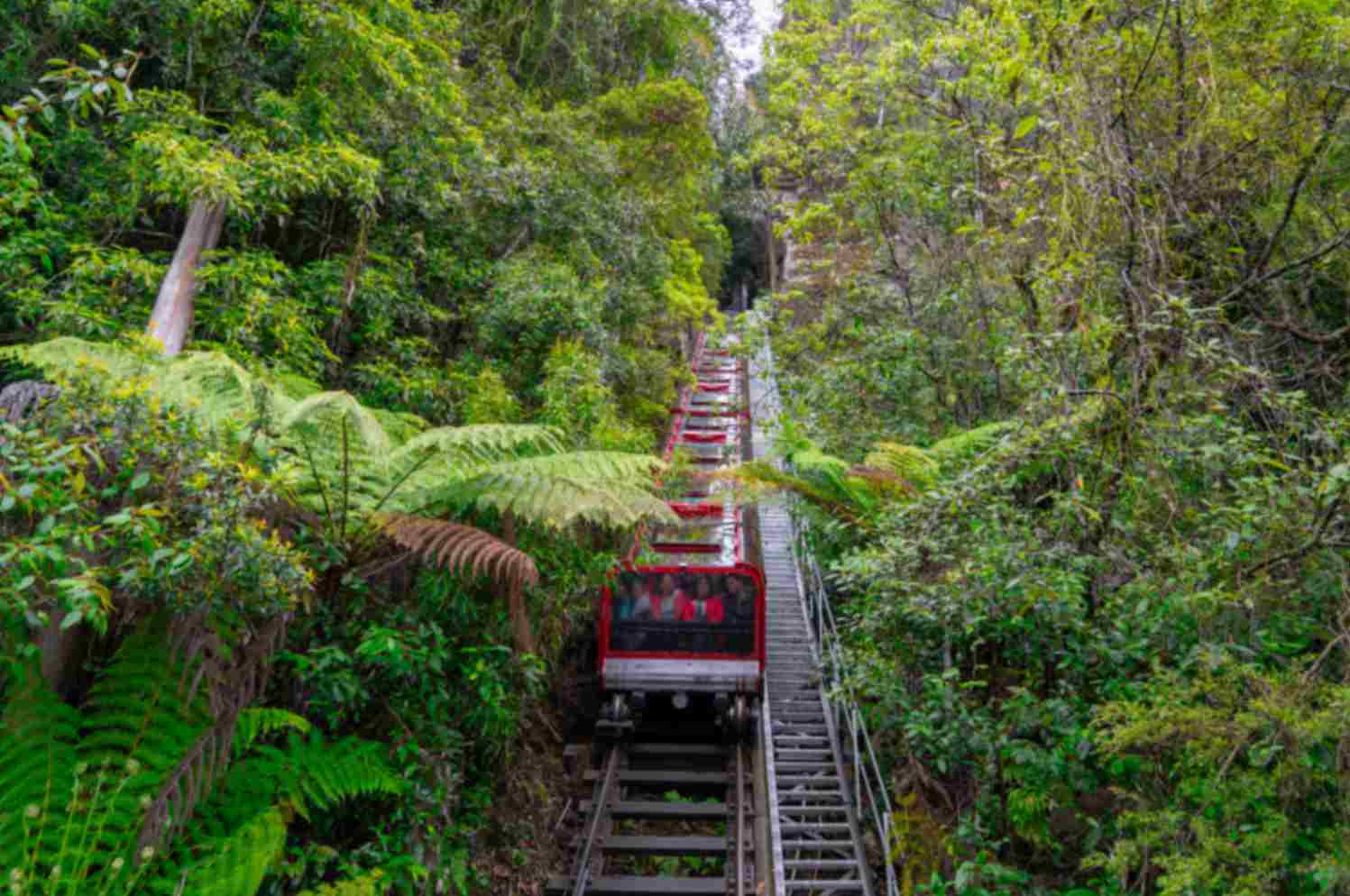 Scenic World Blue Mountains Day Trip