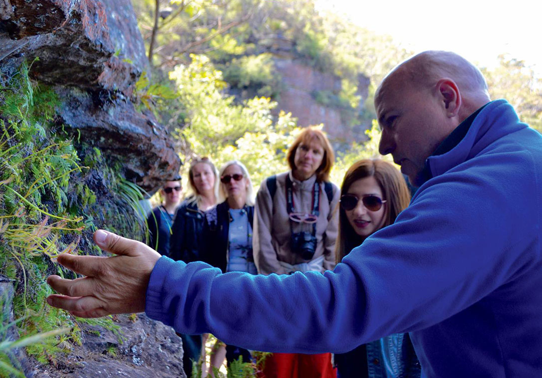 blue-mountains-tours-is-in-our-blood-1 blue-mountains-tours-is-in-our-blood-1