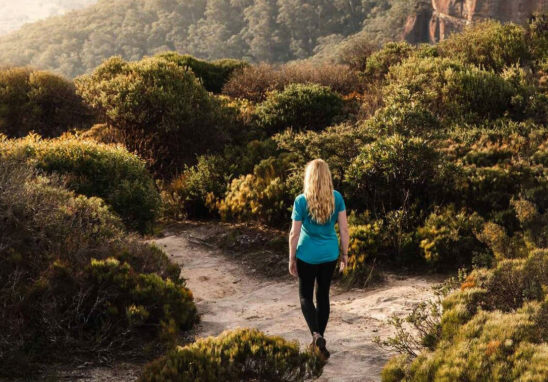 what-to-expect-on-a-bush-walk-in-the-blue-mountains-1 what-to-expect-on-a-bush-walk-in-the-blue-mountains-1